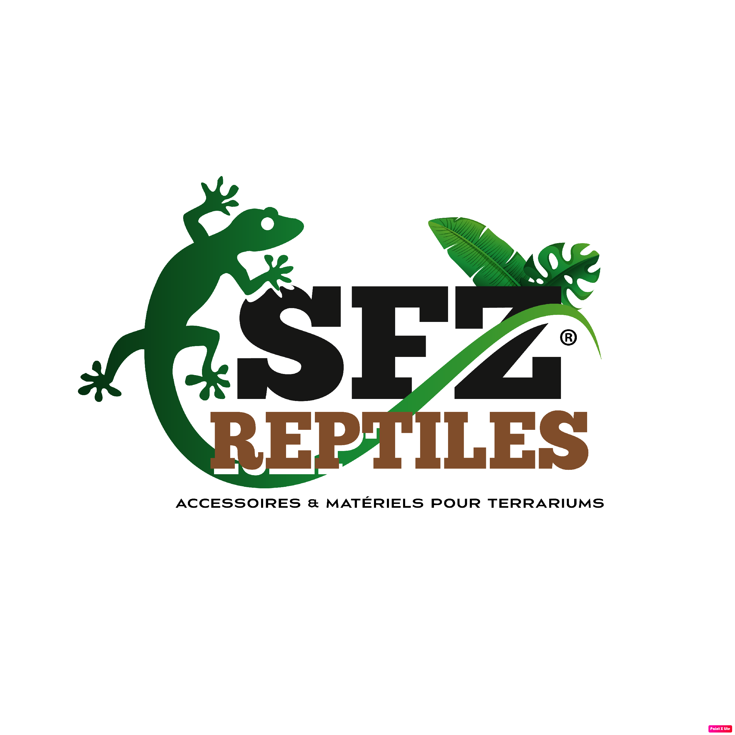 Eublepharis : Premium Tropical Soil, Terreau / Substrat pour Reptiles et  Plantes Tropicales
